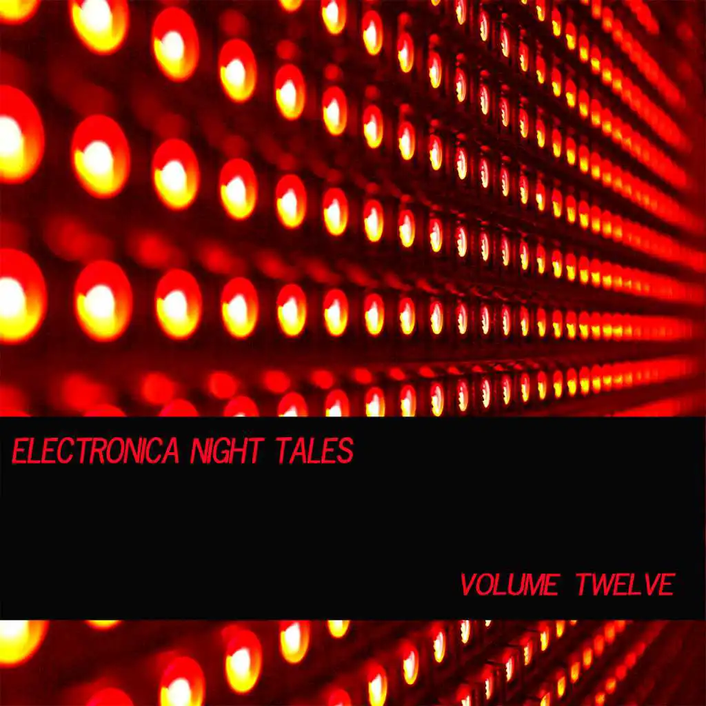 Electronica Night Tales, Vol. 12