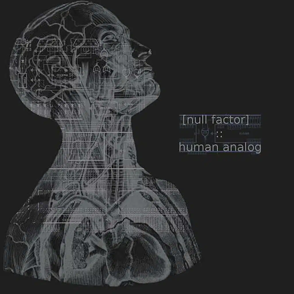 Human Analog