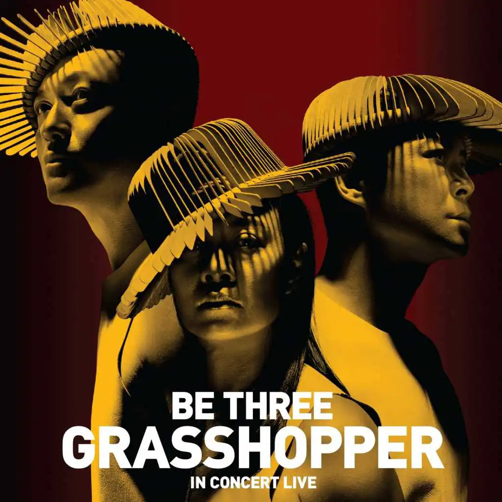 Be Three Grasshopper In Concert (Live)