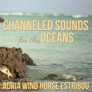 Channeled Sounds for the Oceans