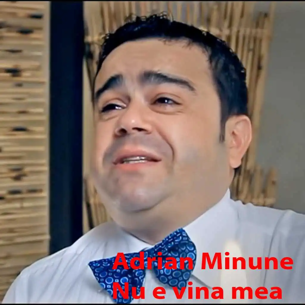 Nu E Vina Mea (feat. Mihăiță Piticu)