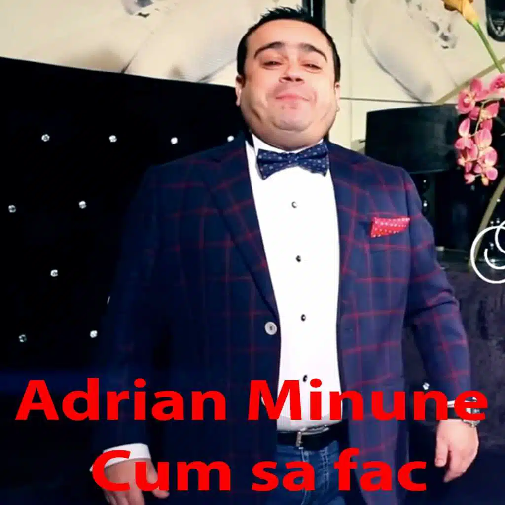 Cum Să Fac (feat. Mihăiță Piticu)