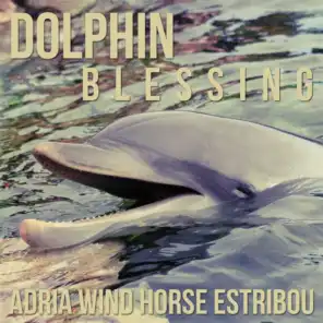 Dolphin Blessing