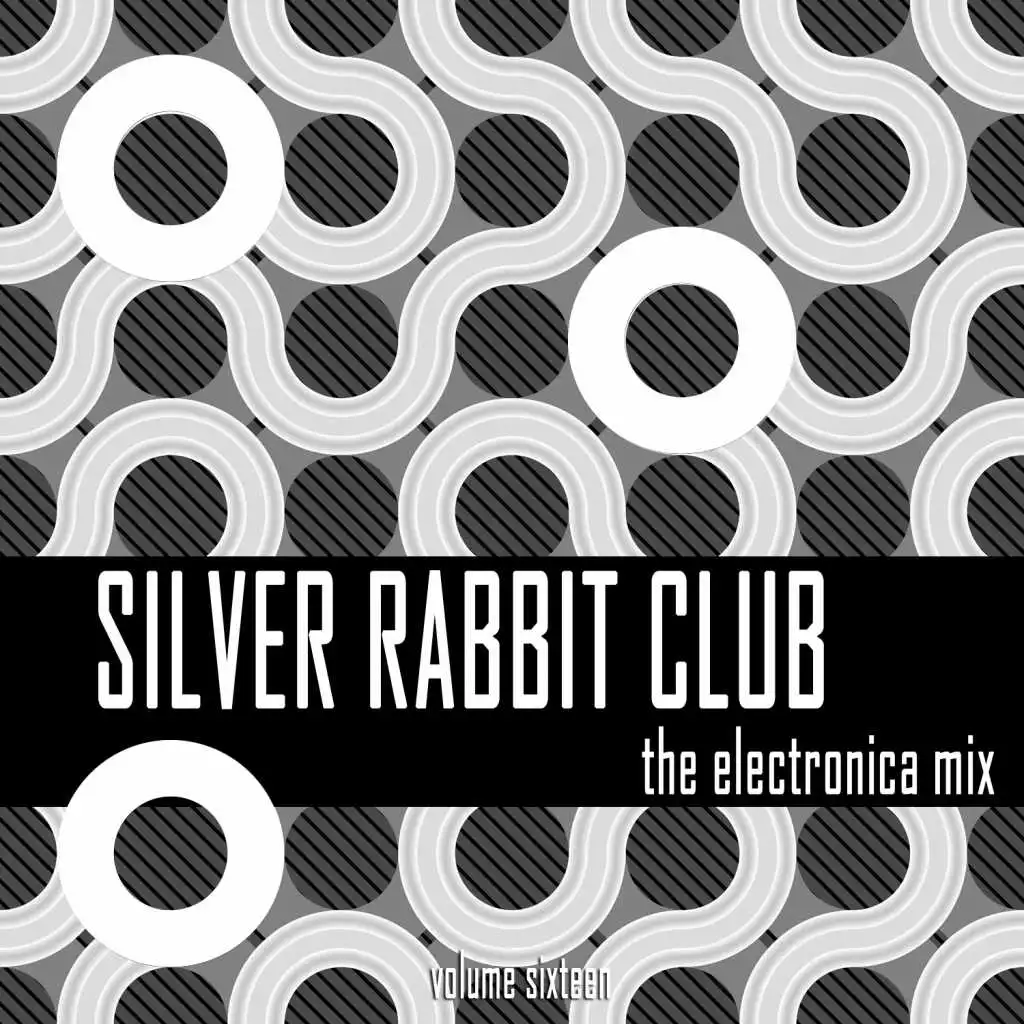 Silver Rabbit Club: The Electronica Mix, Vol. 16