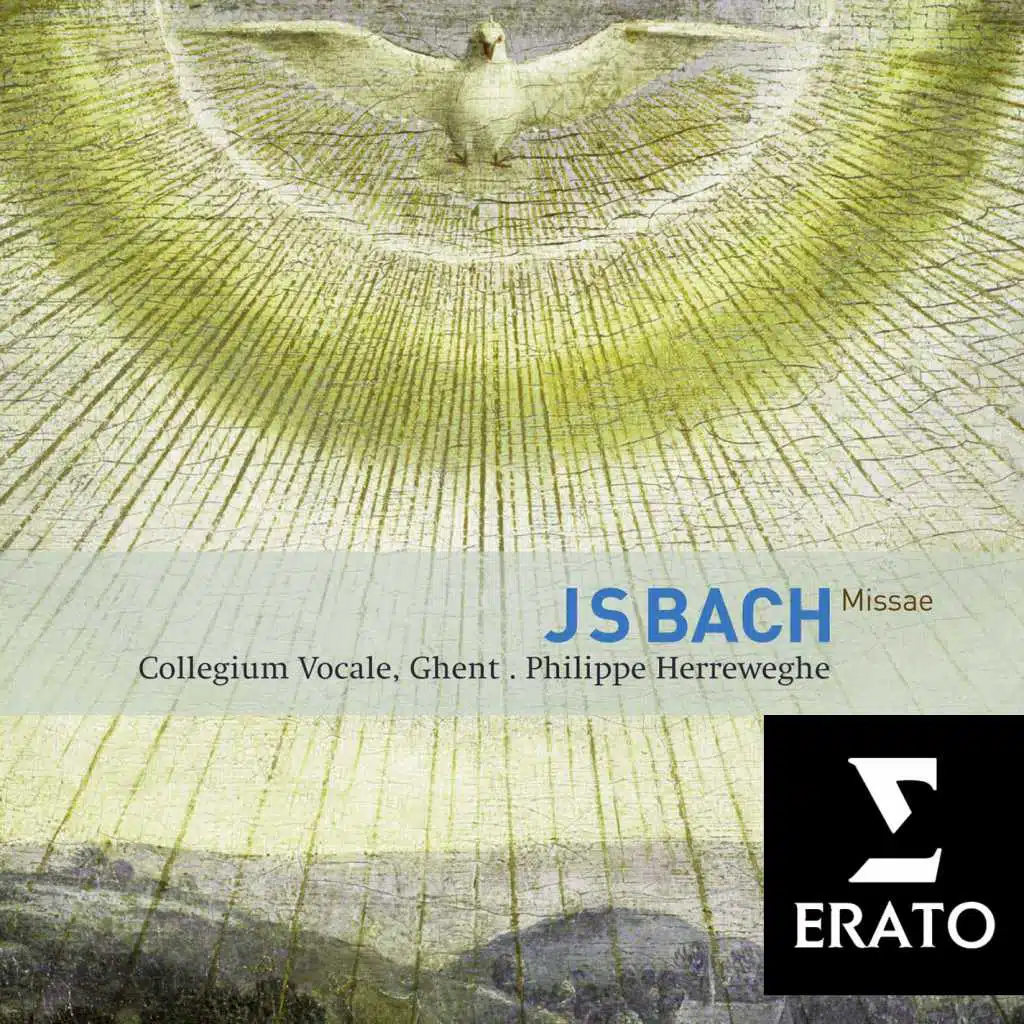Bach: Masses, BWV 233 - 235 & Sanctus, BWV 238 (feat. Collegium Vocale Gent)