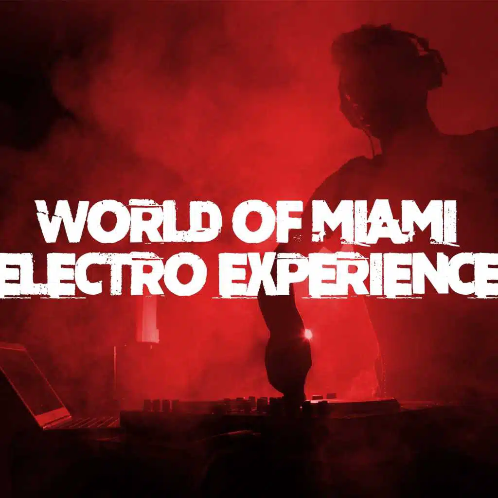 World of Miami Electro Experience