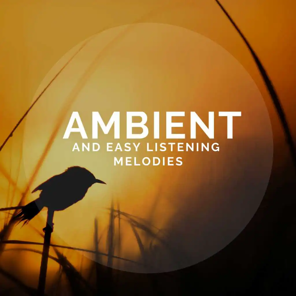 Ambient And Easy Listening Melodies