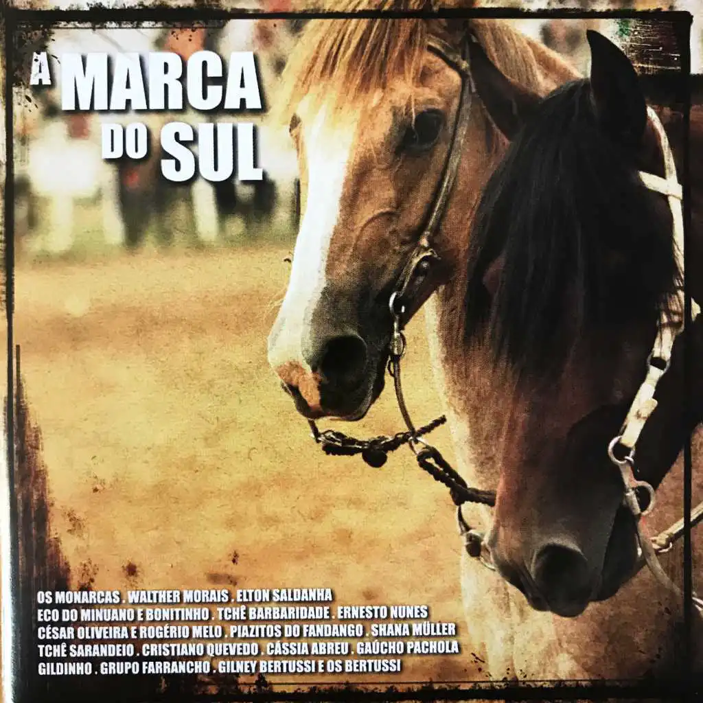 A Marca do Sul, Vol. 16