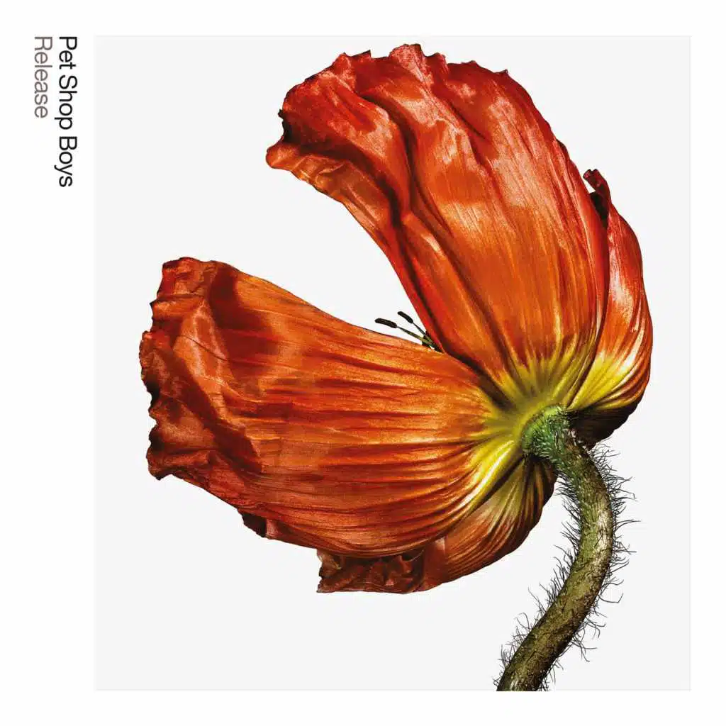 It's a Sin (Barfly Version) [2017 Remaster] (Barfly Version; 2017 Remaster)