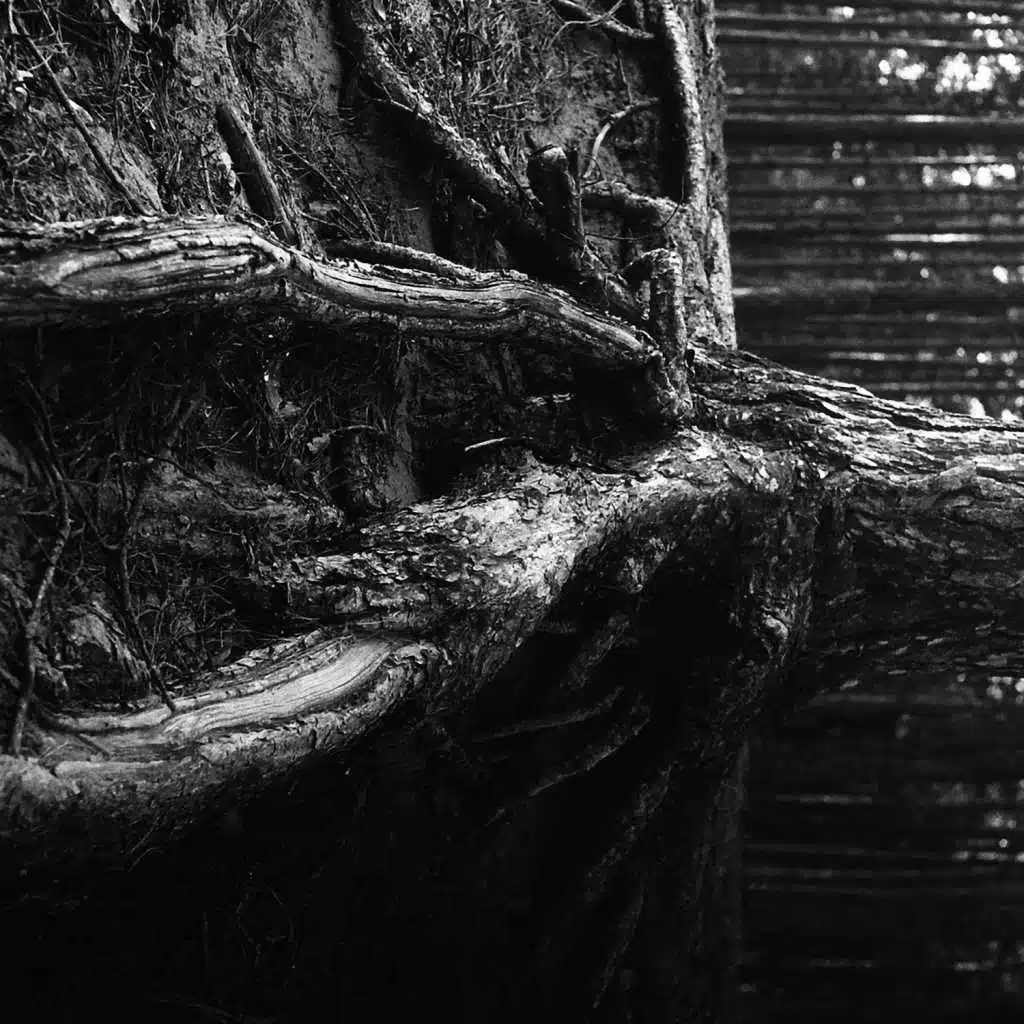 Dead Oldman (dědъ)