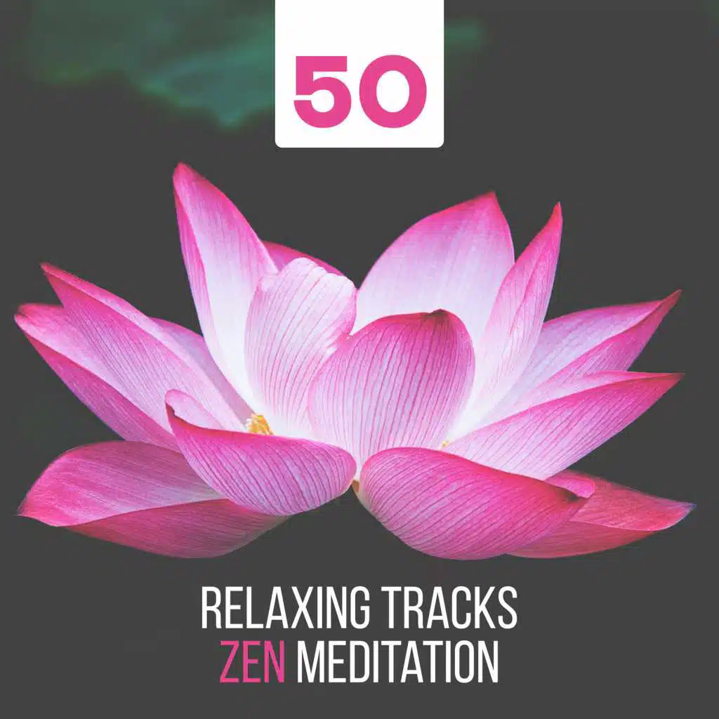 50 Relaxing Tracks Zen Meditation: Calm Nature & Ambient Instrumental Music - Healing Rain, Ocean Waves, Forest & Animal Sounds for Yoga, Reiki, Spa and Massage