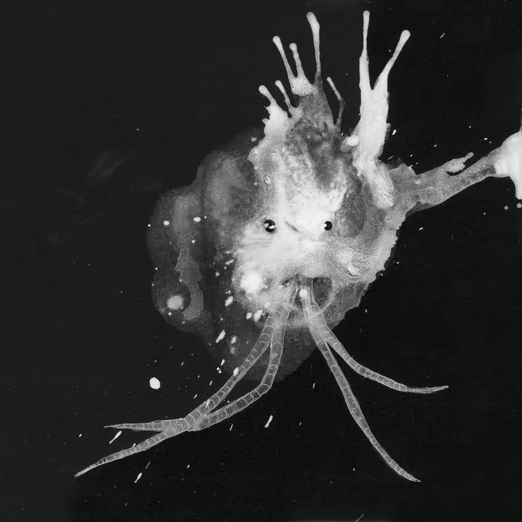 64º08'43.3"N 21º55'38.8"W