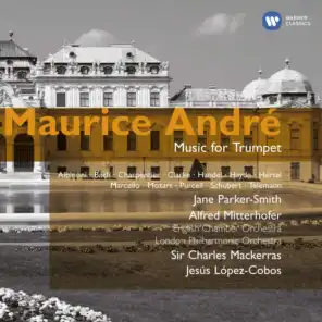 Adagio in G Minor (Arr. for Trumpet and Organ) [feat. Jane Parker-Smith]
