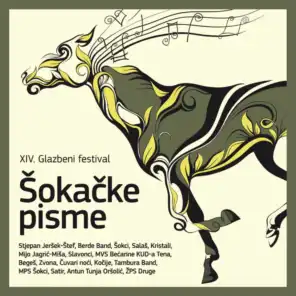 14. Glazbeni Festival "Šokačke Pisme" 2019.