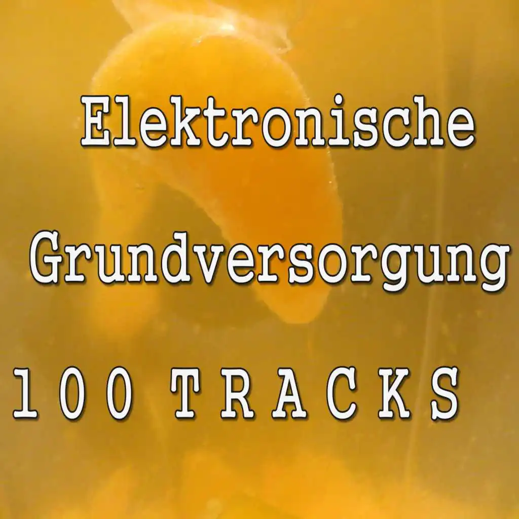 Elektronische Grundversorgung (1 0 0 T R A C K S)