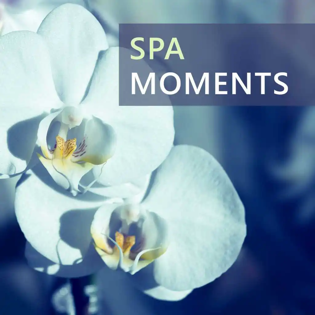 Spa Moments – Calm Music for Relaxation, Nature Waves, Soft New Age Music, Peaceful Time