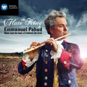 Flute Concerto in E Minor, L 2.4: I. Allegro con brio (feat. Kammerakademie Potsdam & Trevor Pinnock)