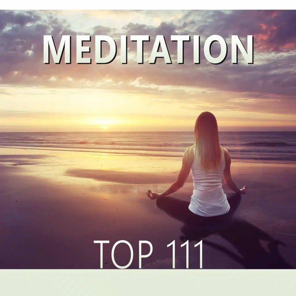 Meditation Top 111