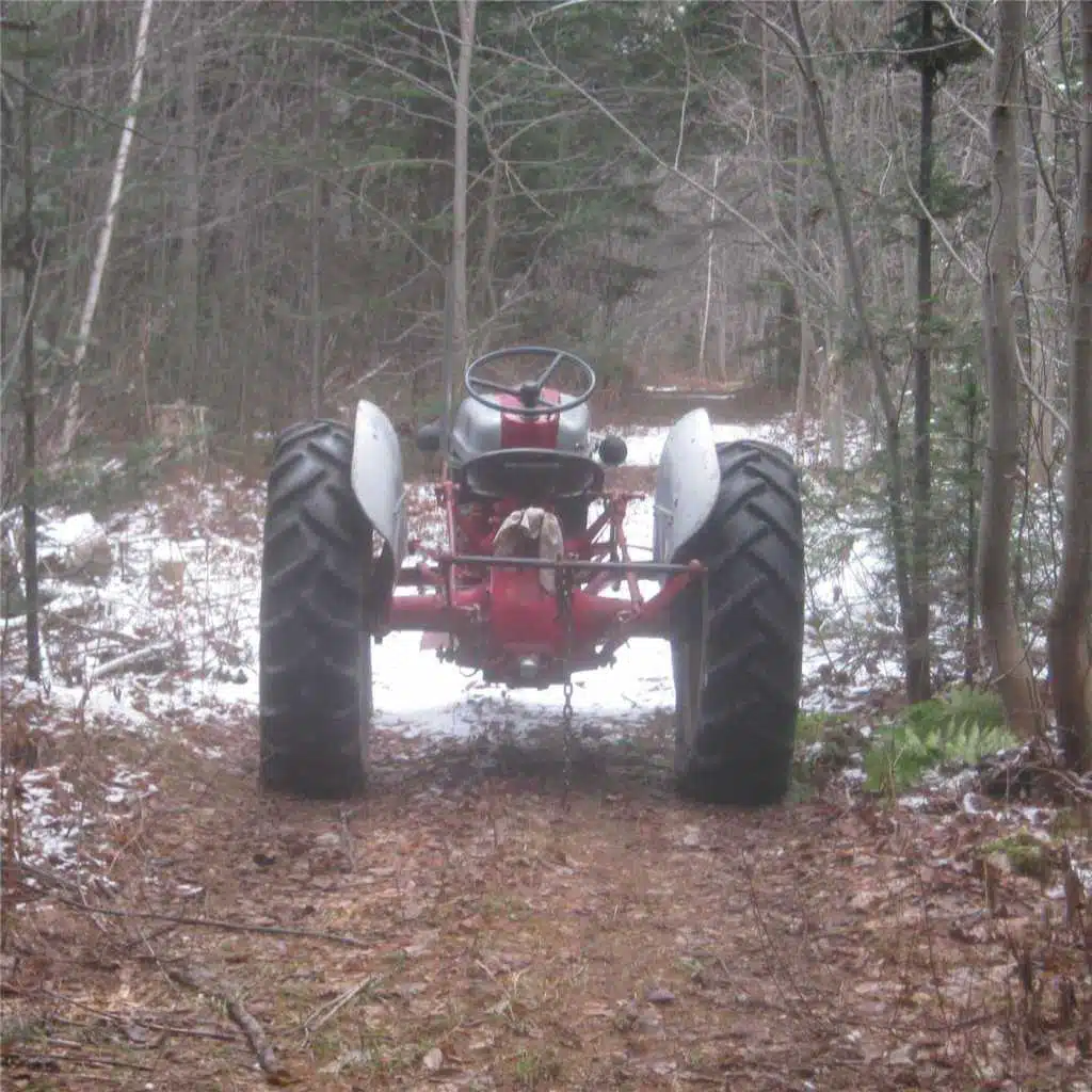 Hillbilly Vacation