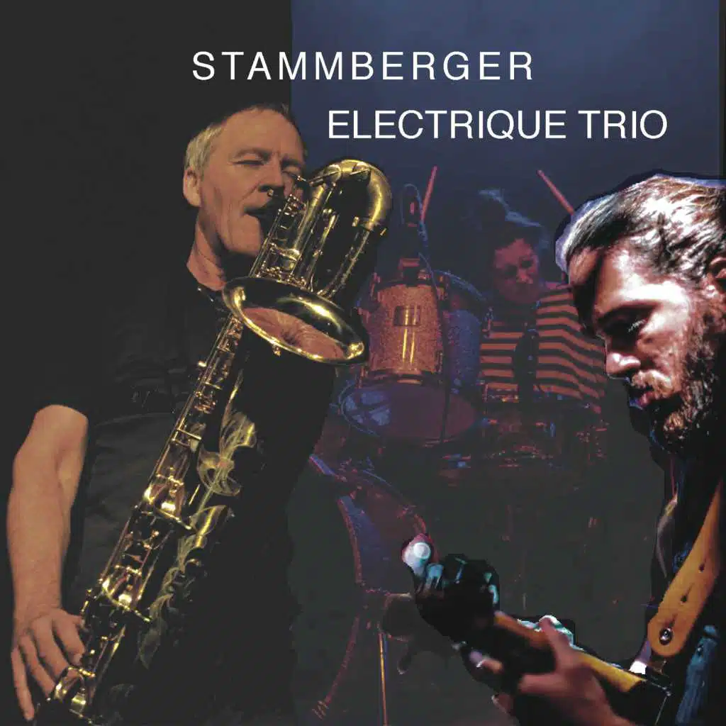 Stammberger Electrique Trio (Live) [feat. Tatiana Heuman, Teresa Riemann, Pietro Frigato, Daniele De King Lo Re, Rieko Okuda, Keyvan Paydar, Daigo Nakai, Jure Anžiček, Gürkan Baltacilar & Craig Cigar Tamlin]