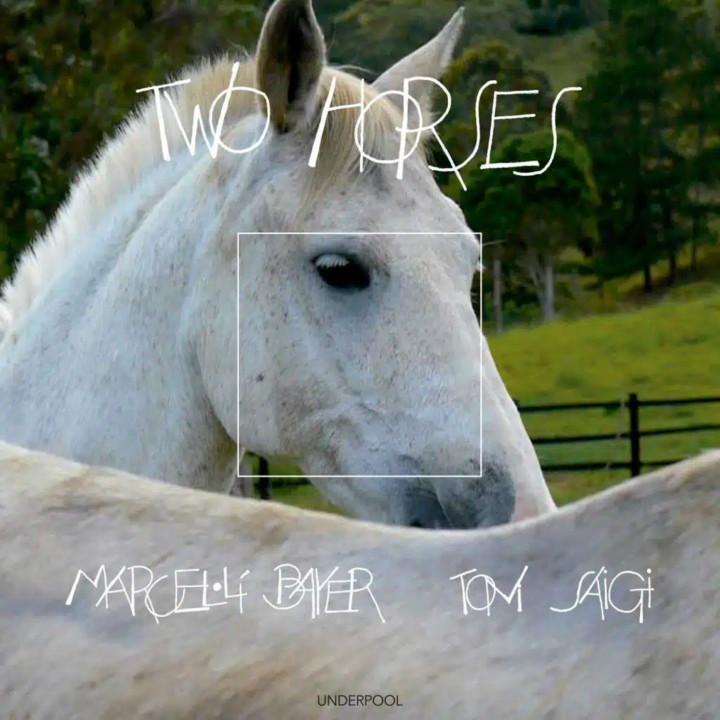 Two Horses (feat. Toni Saigi)