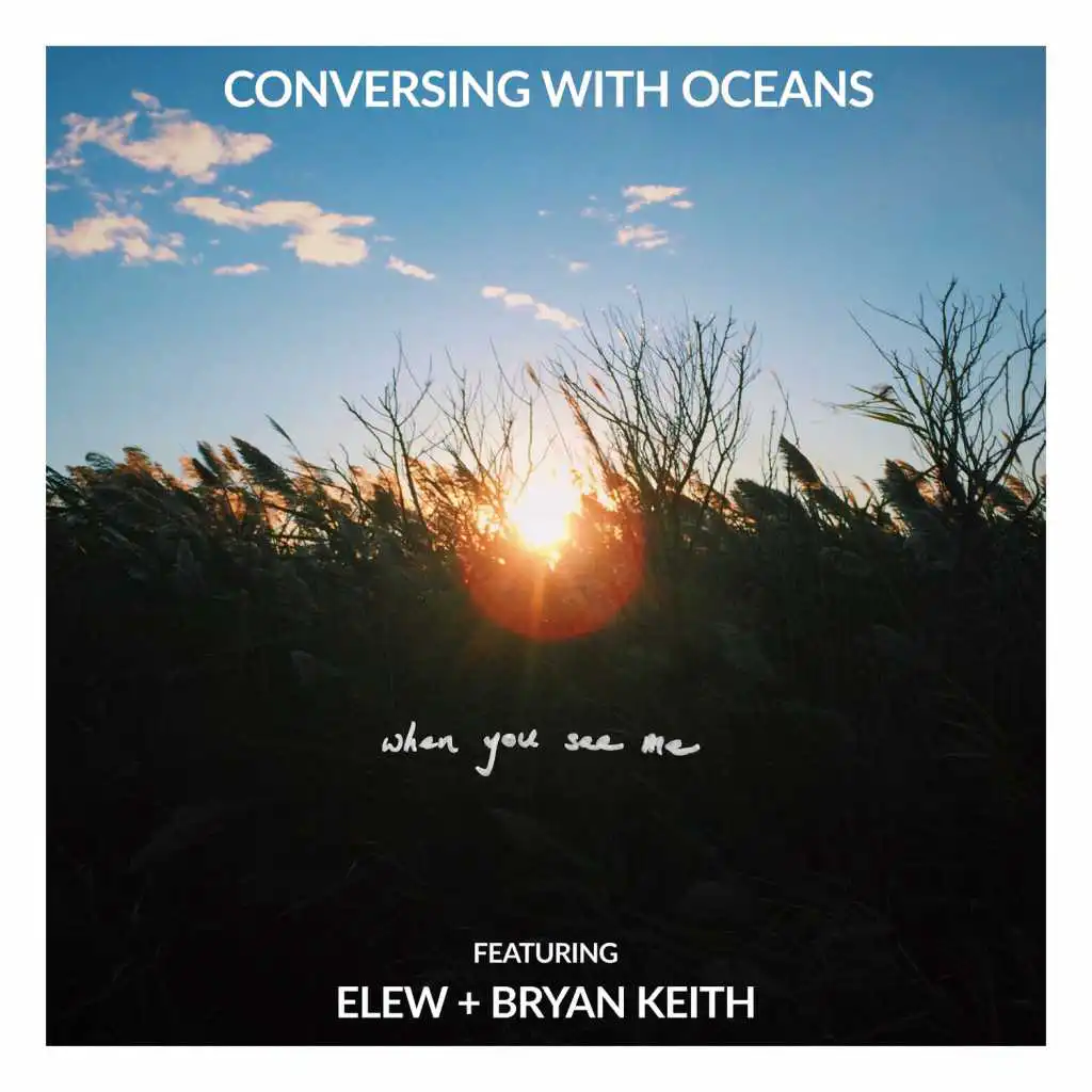 When You See Me (feat. ELEW & Bryan Keith)