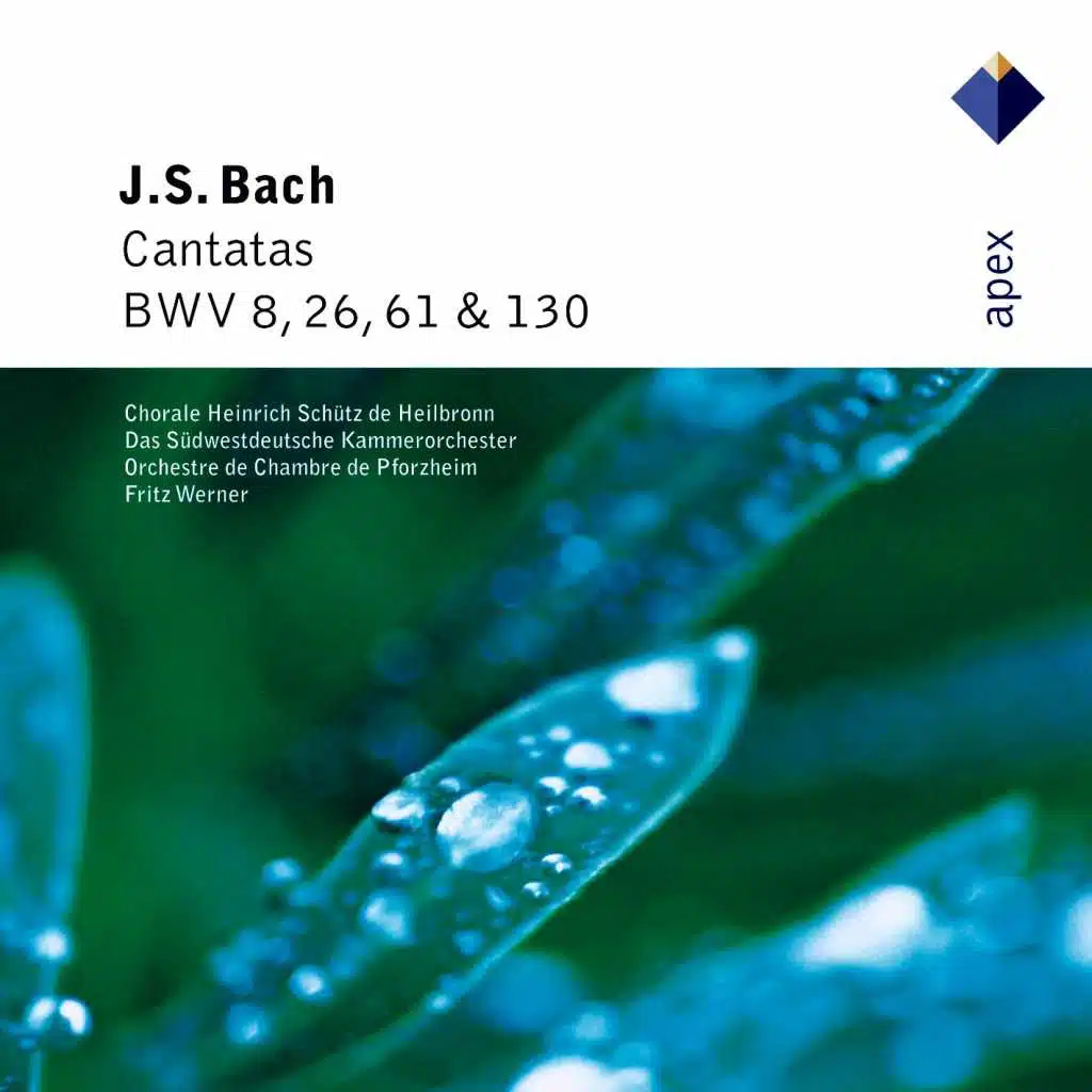 Bach, JS: Cantatas BWV Nos. 8, 26, 61 & 130 (feat. Heinrich-Schütz-Chor Heilbronn)