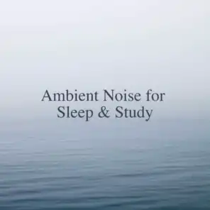Ambient Noise for Sleep & Study