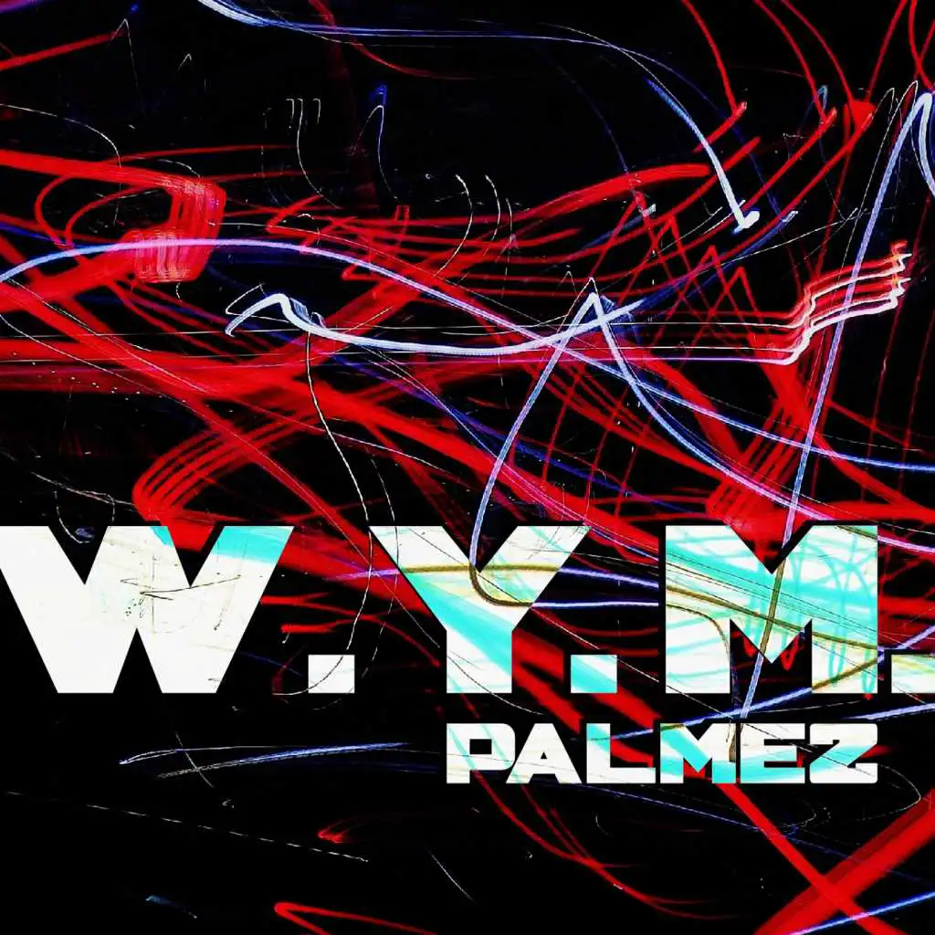 W.Y.M. (Illegal Mix)