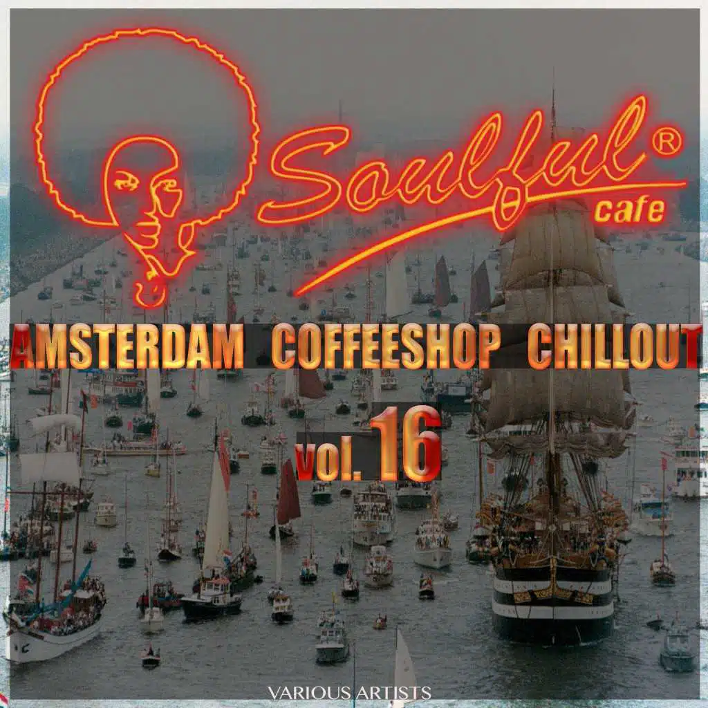 Amsterdam Coffeeshop Chillout, Vol. 16