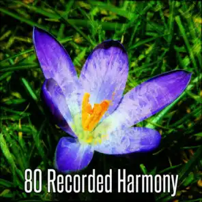 80 Recorded Harmony