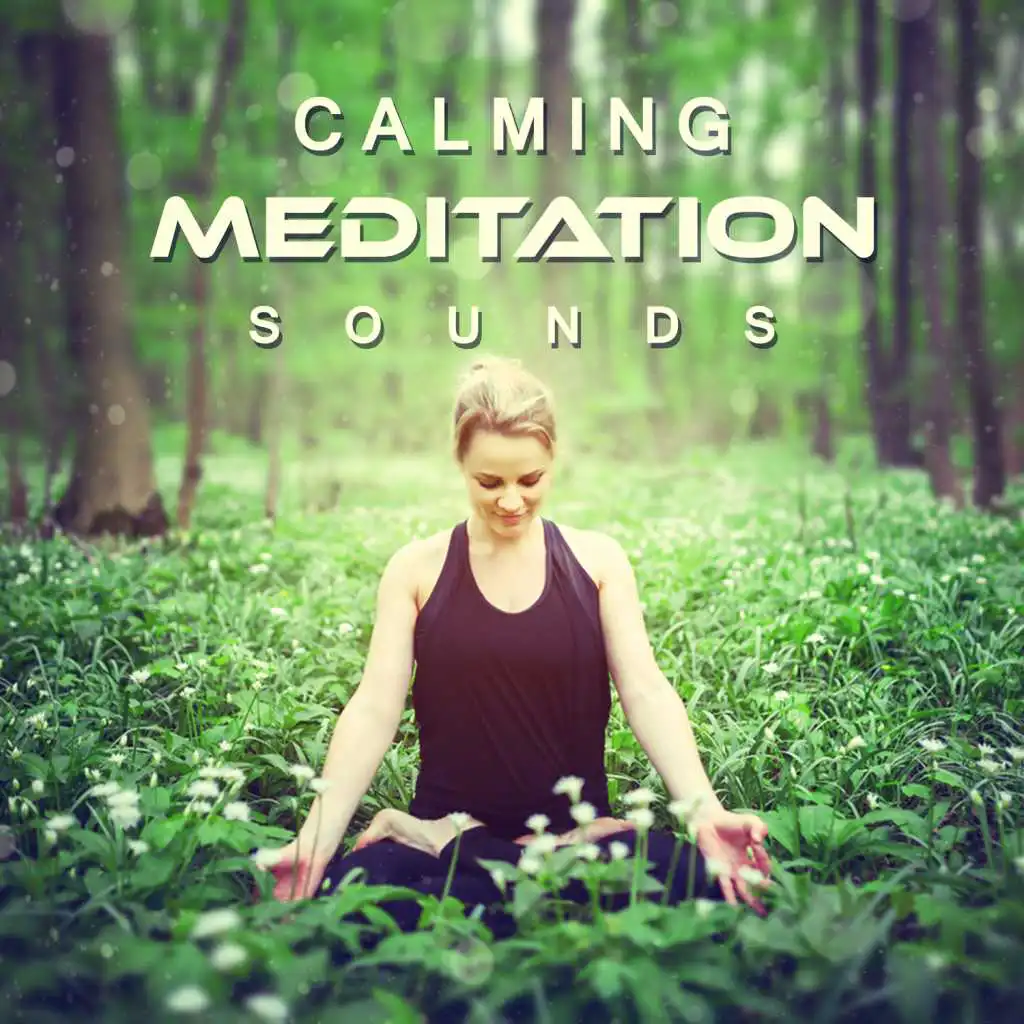 Calming Meditation Sounds: Relax, Zen Garden, New Age, Relaxing Music, Welness Soundtrack, Natural Remedy, Sleep Well