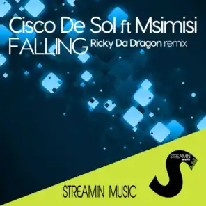 Falling (Ricky da Dragon Radio Version) [feat. Msimisi]