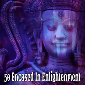 50 Encased In Enlightenment
