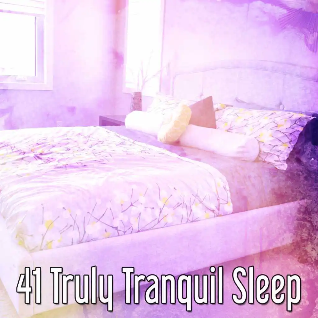 41 Truly Tranquil Sleep