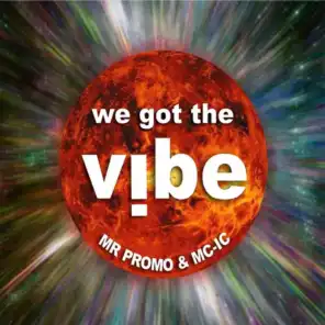 We Got The Vibe (Promo Remix)