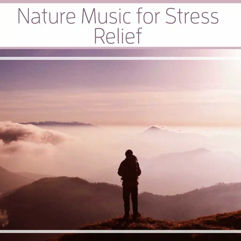 Stress Relief