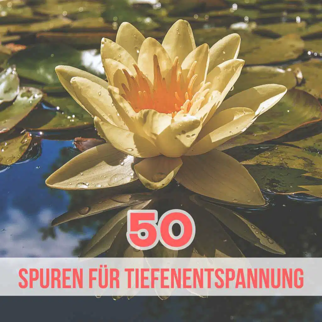 50 Spuren für Tiefenentspannung: Sanfte Wassergeräusche & Naturgeräusche für Reiki - Ruhige Entspannungsmusik für Wellness, Spa, Yoga & Meditation