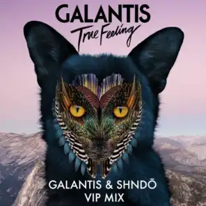 True Feeling (Galantis & shndō VIP Mix)