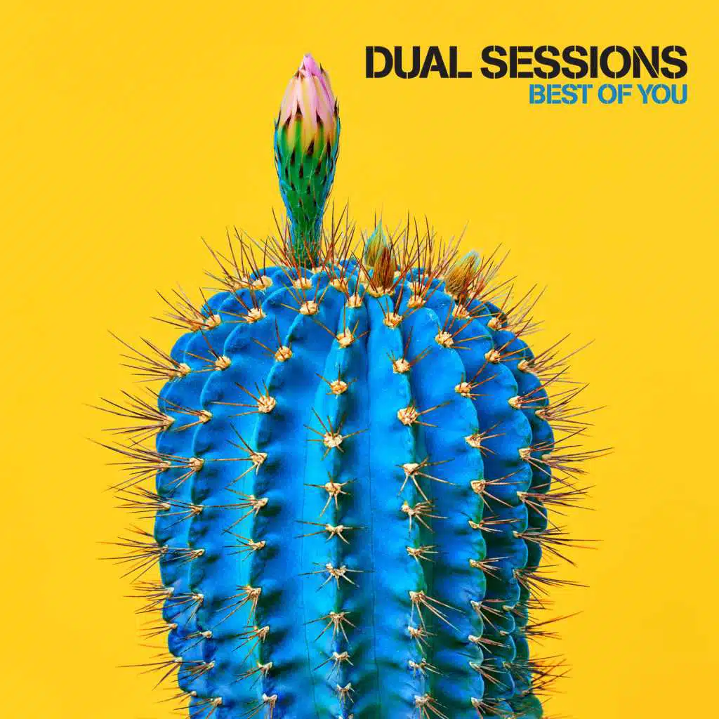 Best of You (Reggae Mix)