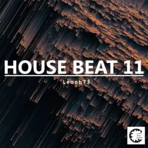 House Beat 11