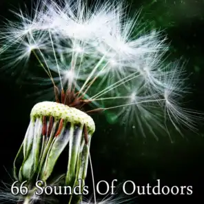 66 Sounds Of Outdoors