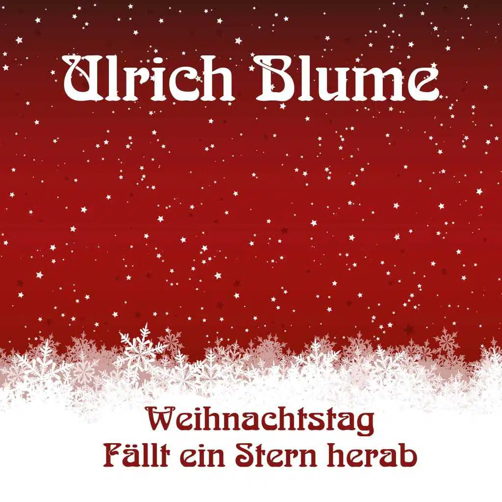 Weihnachtstag