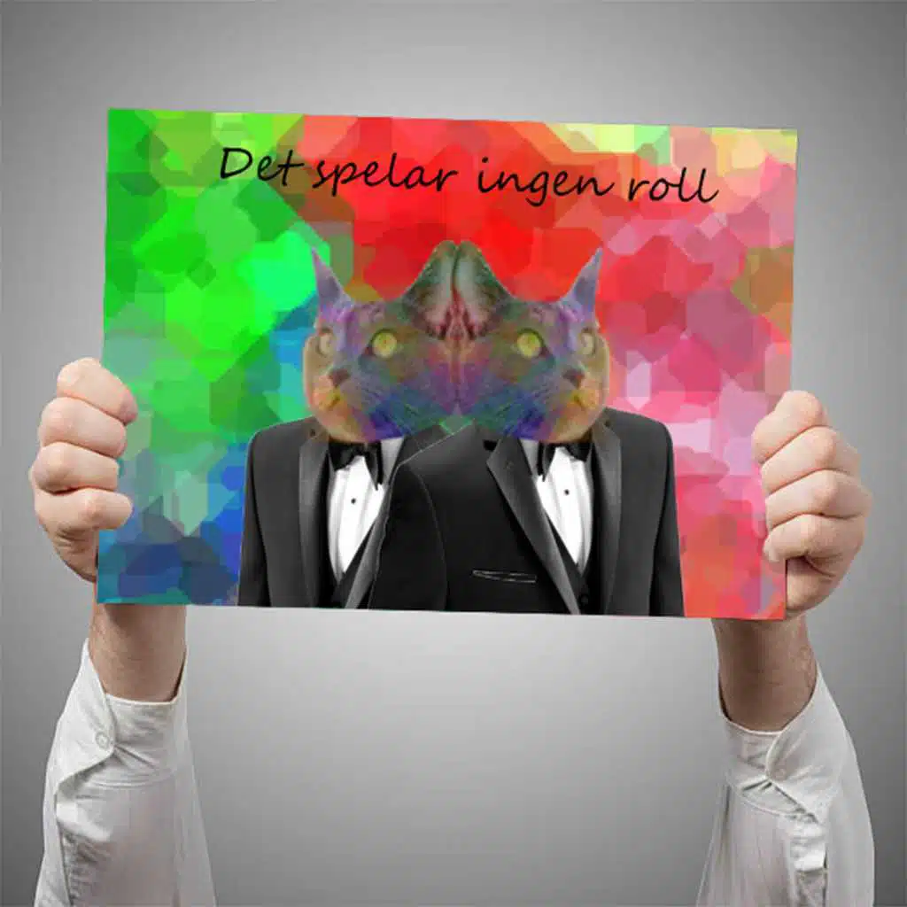 Det Spelar Ingen Roll