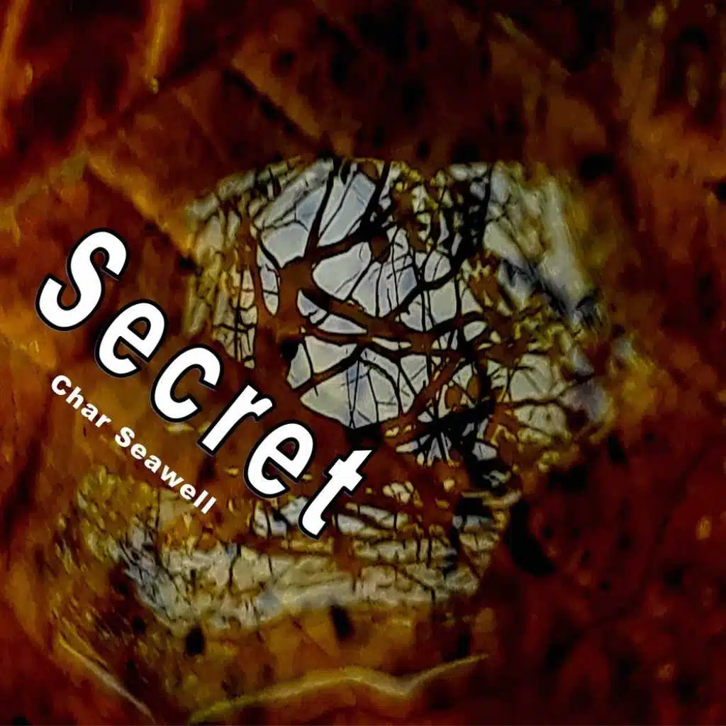 Secret