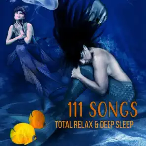 111 Songs: Total Relax & Deep Sleep, Pure Serenity Spa Music, Sounds of Nature to Falling Asleep at Night, Zen Meditation Relaxation, New Age Lullabies