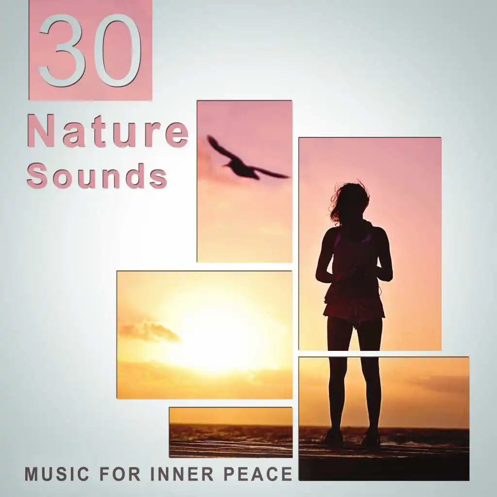 30 Nature Sounds: Music for Inner Peace – Songs for Spa, Meditation, Yoga, Relaxation, Sleep, Ambient Serenity, New Age Peaceful Music