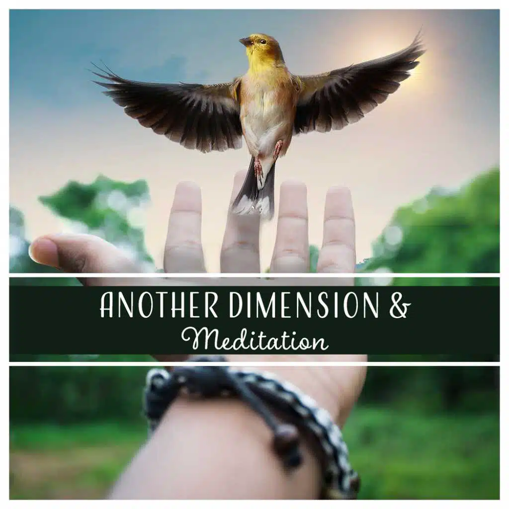 Another Dimension & Meditation - Healing Music for Mindfulness, Lucid Dreaming, Astral Travel, Out of Body Experience, Relaxation