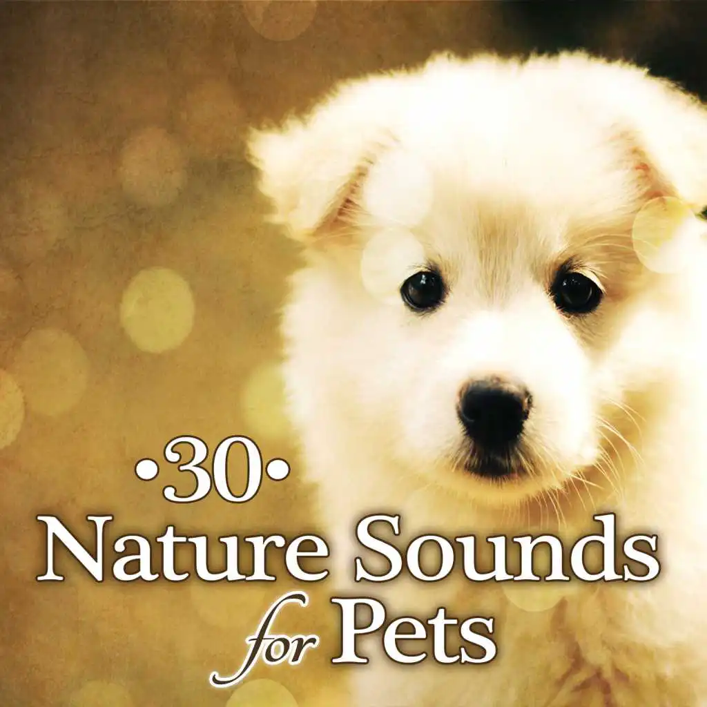 Healing Nature Sounds for Pets