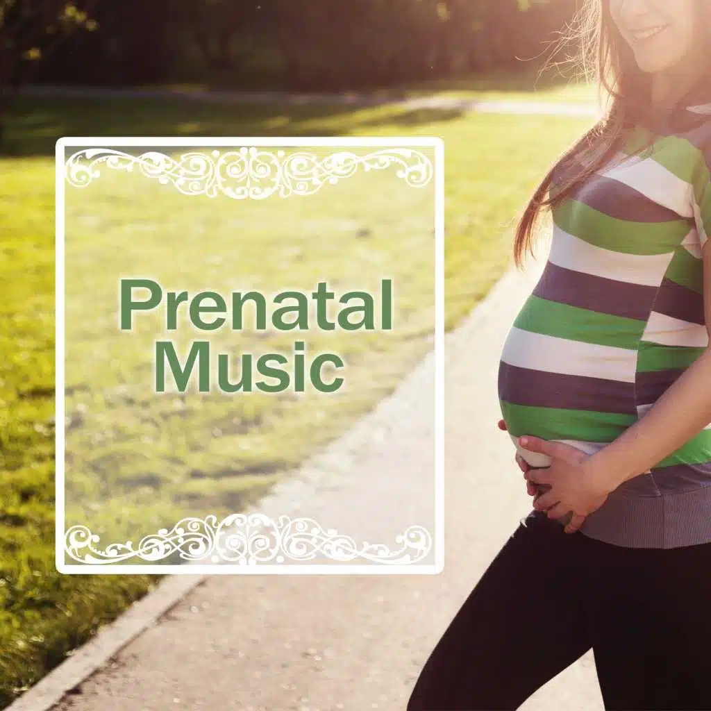 Pregnancy Music Academy